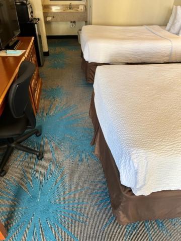 Days Inn By Wyndham Asheville West Candler Esterno foto